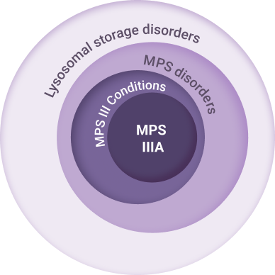 Understanding where MPS IIIA fits in the classification of lysosomal storage disorders 
